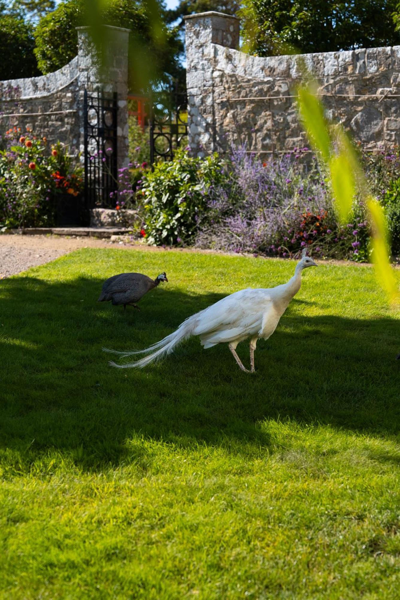 Gileston Manor Luxury B&B Barry Esterno foto